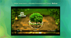 Desktop Screenshot of medlayn.com